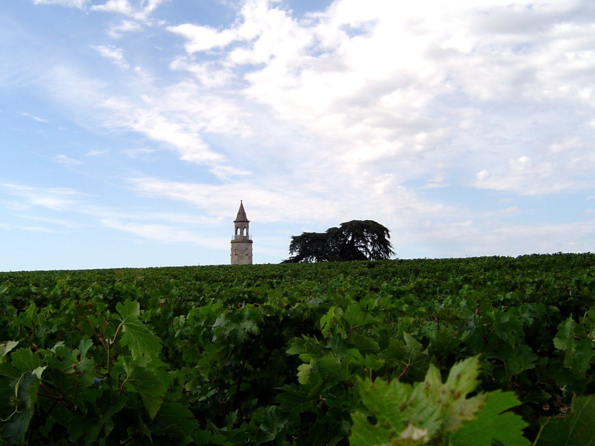 French Wine
